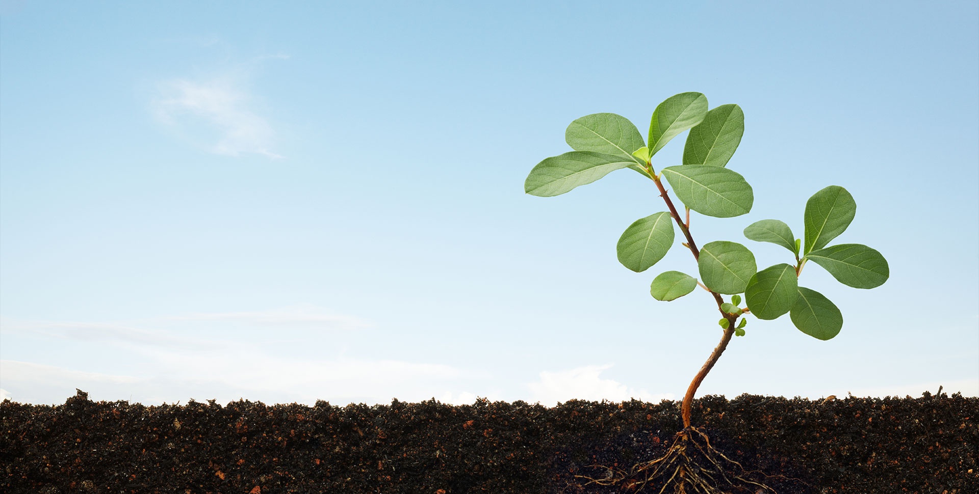 利来国际老牌官网(中国)W66最给力的老牌